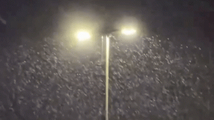 Locuitorii din Columbus isi exprima bucuria cand prima zapada a sezonului cade.