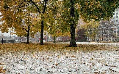 87182942007-first-snow.jpg