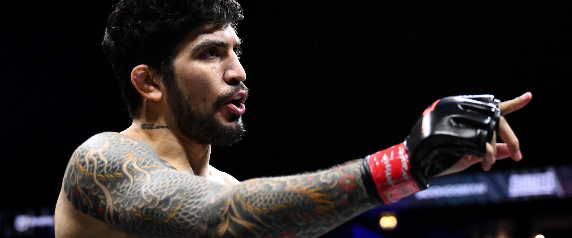 Dillon Danis Ejected from UFC 322 After Massive Ringside Brawl in Crowd on Video