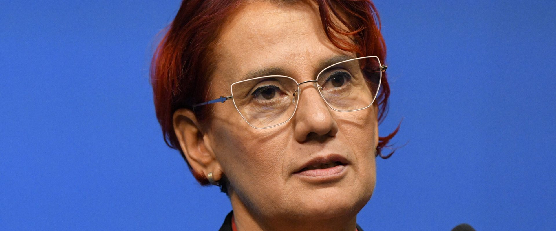 Culisele numirii Ioanei Ene Dogioiu la radio, din partea Guvernului Bolojan