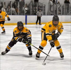 Jaguarii înving tigrii în ciuda revenirii târzii