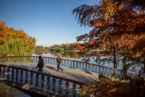 Previziuni meteo: Temperaturile vor fi peste valorile obișnuite în următoarea perioadă, cu vreme mai caldă decât normalul și în prima săptămână din decembrie