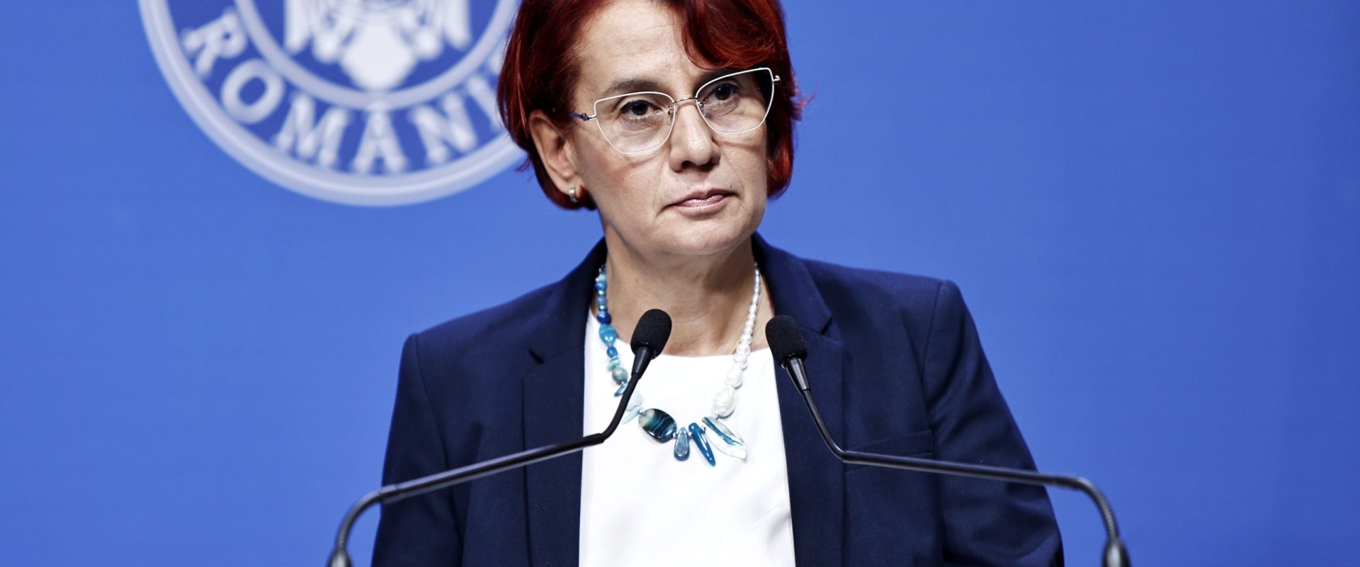 Ioana Dogioiu: Pe 23 septembrie, Mihai Barbu, liderul PNL din