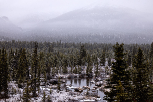 Milioane de oameni confruntați cu vreme extremă în 13 state