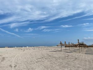 Nicuşor Dan transmite la CCR o plângere referitoare la legea ce reglementează folosirea plajelor de la Marea Neagră.