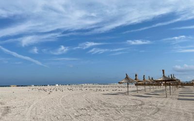 Nicuşor Dan transmite la CCR o plângere referitoare la legea