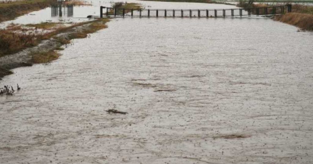 „Apele Române” recomandă declararea stării de urgență în Prahova: „Situaţia la Paltinu este critică”. Cât ar putea dura criza