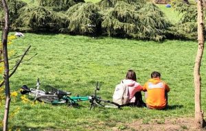 Primăria Sectorului 2 planifică amenajarea unei parcări și a unui mic parc în zona Circului, o zonă aglomerată de trafic