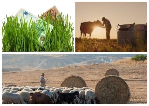 Anunț important de la Ministerul Agriculturii și Dezvoltării Rurale: Acordarea de subvenții pentru agricultori și crescători de animale în această zi.