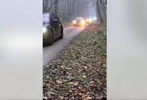 Mircea Fechet denunță abuzurile din Pădurea Băneasa și silentioșul Ministerului Mediului: „O pădure a fost transformată în drum urban cu aprobarea tacită a autorităților responsabile de protejarea sa”