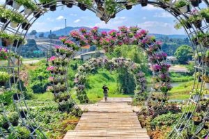 Iată o posibilă reformulare a titlului: “Furtuni urmate de scăderi de temperatură la Bangkok în această săptămână, conform rapoartelor de știri locale”.