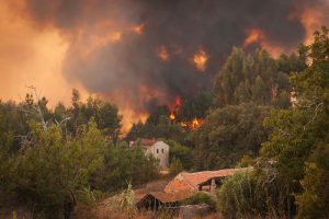 ONU avertizează asupra riscului crescut pentru pădurile din emisfera nordică din cauza incendiilor de vegetală și a temperaturilor în creștere