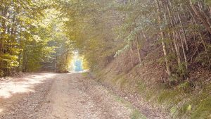 Tânăr de 20 de ani decedat în Alba, după ce a răsturnat mașina în albia unei văi, căzând aproape 3 metri într-o vale