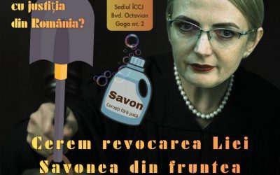 protest-manifestatie-revocare-Lia-Savonea.jpeg