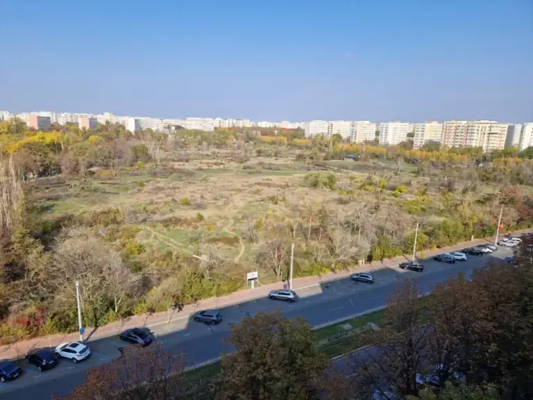 Ordonanța care transformă tăierea ilegală a copacilor în infracțiune a fost lansată în dezbatere publică, fiind inspirată de cazul defrișării Parcului IOR