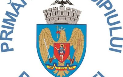 AEP raporteaza: Pana la pranz, 9,67% dintre votanti și-au exprimat