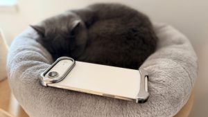 Motivul pentru care aplicațiile pe iPhone dau erori după actualizare