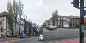 Toaletări neautorizate și încălcarea normelor legale la Facultatea de Biologie din București, confirmate de Direcția de Mediu a Primăriei, care a solicitat intervenția Poliției Locale; imagini cu copaci mutilați postate pe rețelele sociale