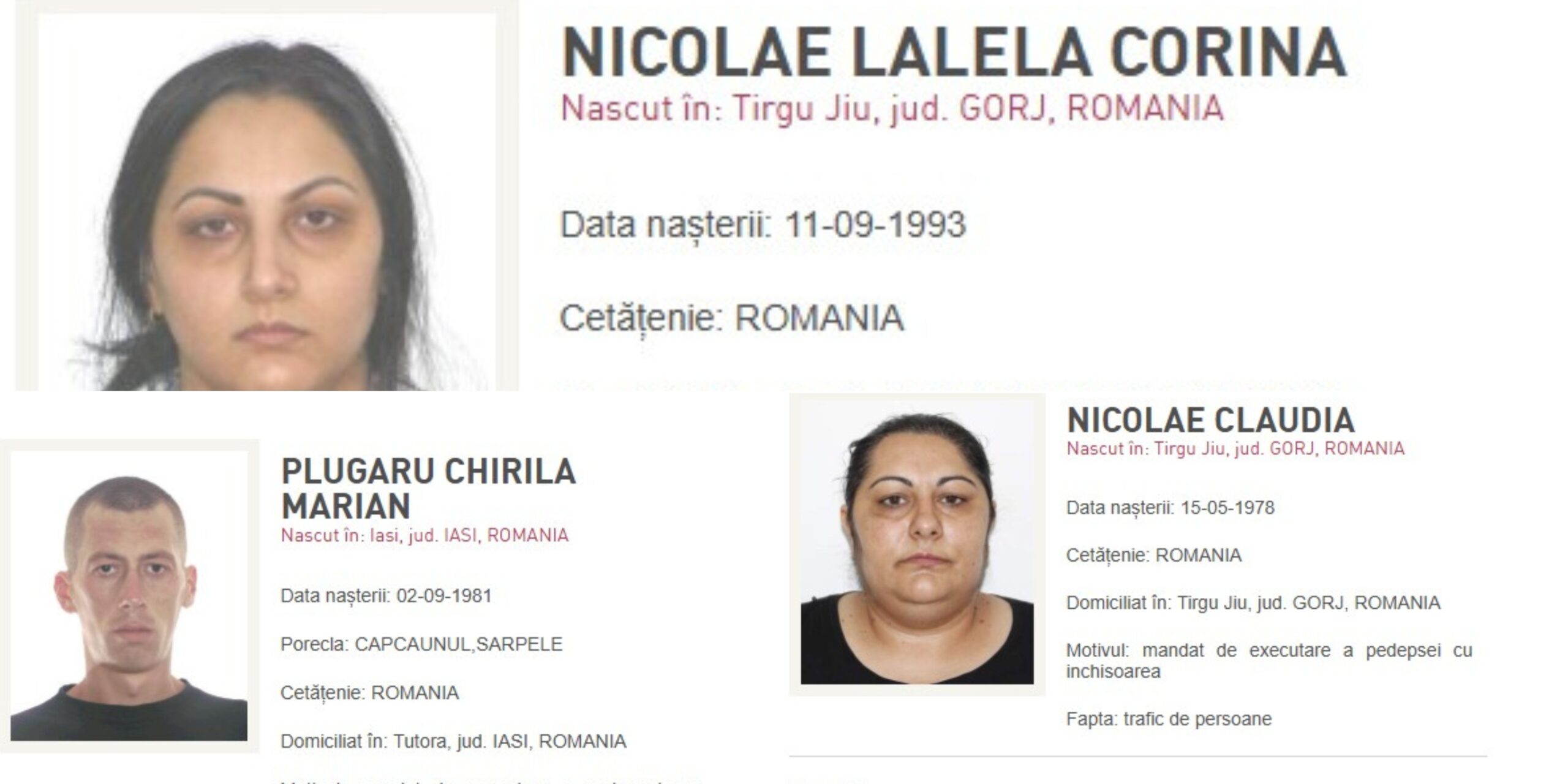 Poliția Română readuce în țară șapte persoane urmărite internațional în ultimele zile ale anului 2025 În ultimele zile ale anului 2025, poliția română a intensificat operațiunile de combatere a crimei organizate și a criminalității transfrontaliere, reușind să aducă în România șapte persoane urmărite internațional