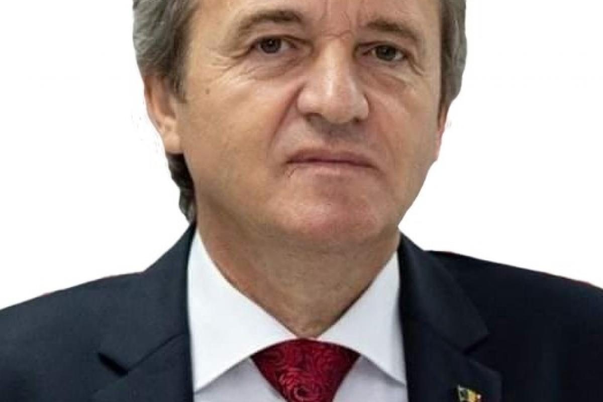 Analiza Raportului CSAT pentru 2024 în cadrul Comisiilor de Apărare;