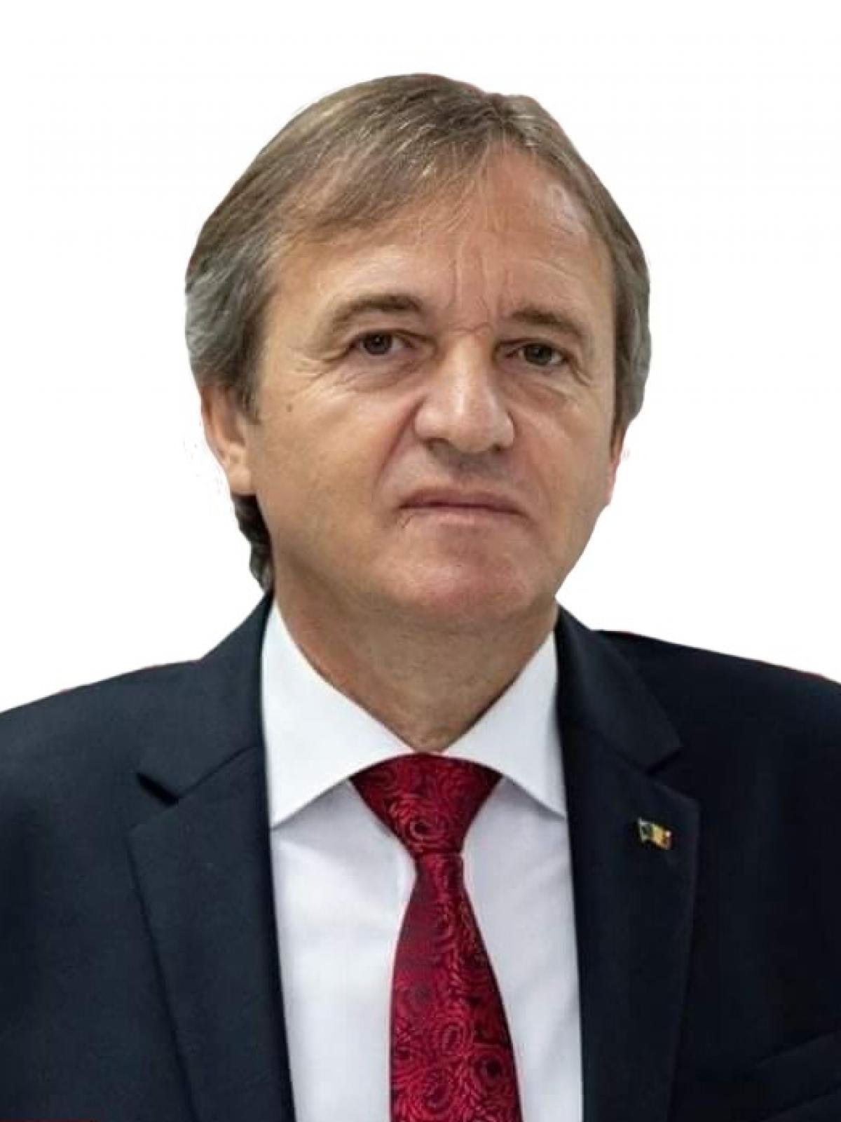 Analiza Raportului CSAT pentru 2024 în cadrul Comisiilor de Apărare; Weber declara: Au fost intervenții din partea actorilor guvernamentali și non-guvernamentali