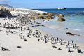 Boulders_Beach_Suedafrika.jpg