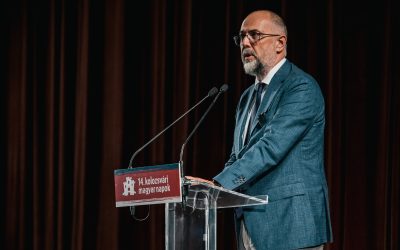 Deputații/ Kelemen Hunor discută despre votul acordat de PSD pentru