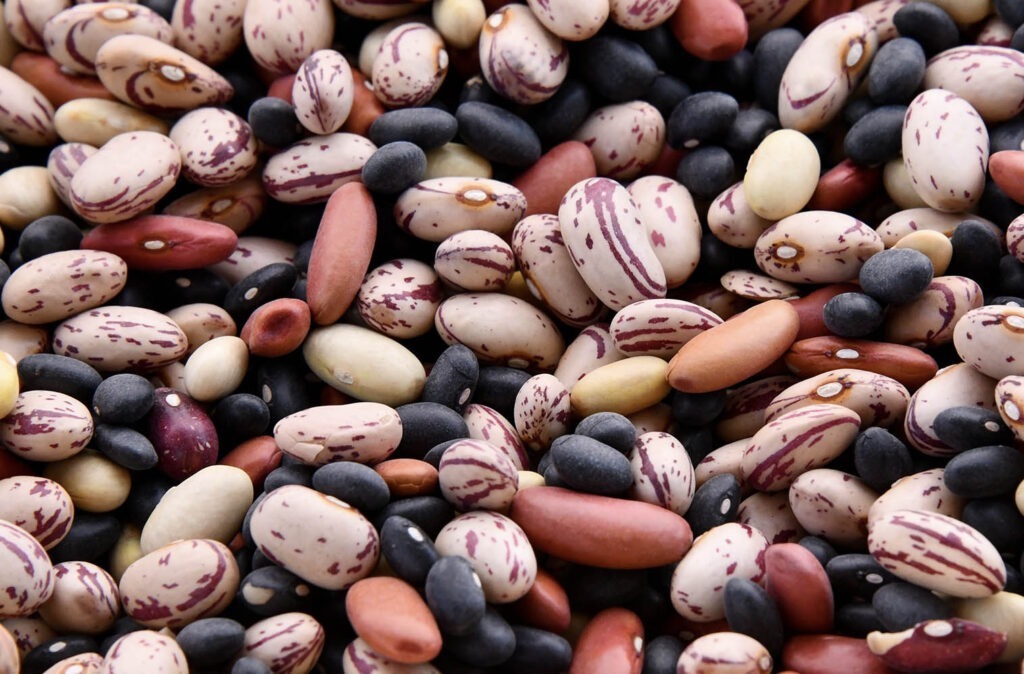 Fasole_Boabe-1024×674-1.jpg