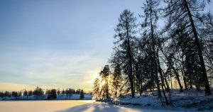 Iarnă 2025: Noaptea cea mai lungă din an și începutul zilelor mai lungi.