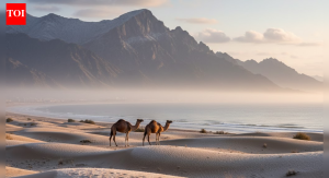 Iarnă în Emirate: nopți reci și ploi ocazionale