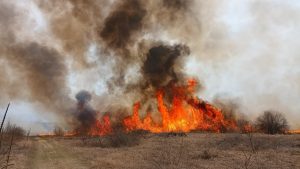 Acord între Administrația Deltei și Agenția Spațială Europeană pentru combaterea incendiilor din rezervă