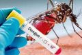 dengue