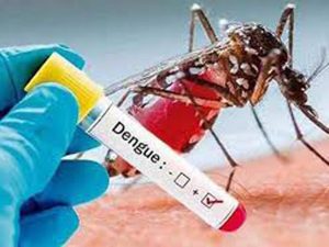 Panamá a înregistrat o scădere a numărului de cazuri de dengue