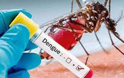 dengue