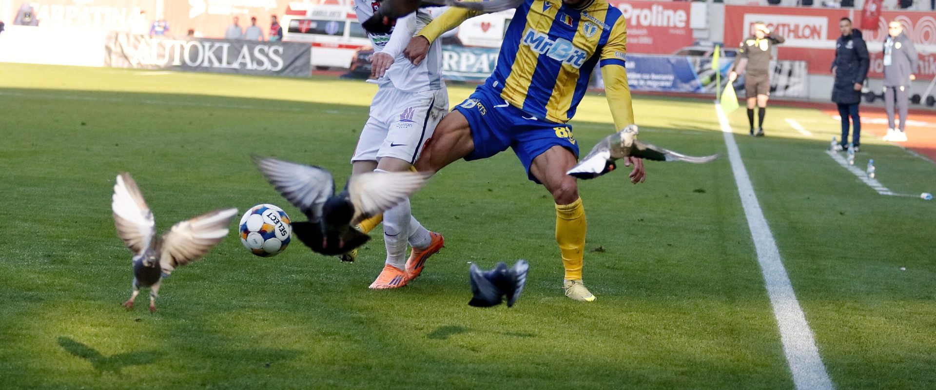 Petrolul Ploiești 0-0, Live Text Online, în etapa 21 din Superliga