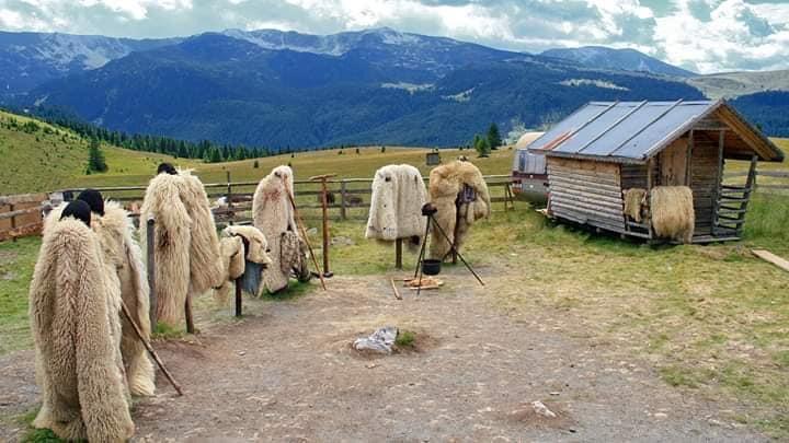 Transalpina-stana-ciobani.jpeg