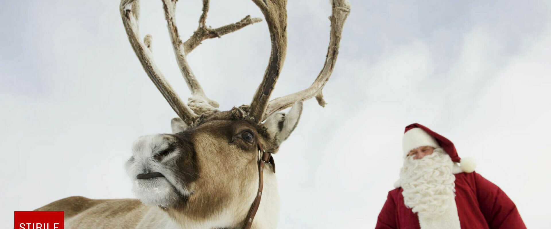 Urmărește în timp real traseul lui Moș Crăciun în jurul lumii. Unde aduce acum cadouri