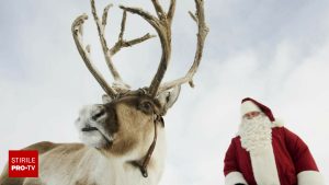 Urmărește live traseul lui Moș Crăciun în jurul lumii. Unde aduce cadouri acum