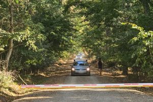 Campanie de semnături pentru protejarea Pădurii Băneasa: peste 700 de suporteri solicită declararea zonei ca centru natural protejat și eliminarea traficului rutier ilegal