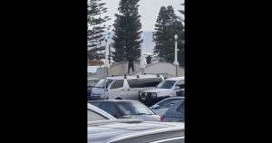 Confruntare violentă pe o plajă renumită din Sydney: zeci de împușcături, cel puțin 12 victime.