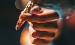 Donald Trump declară că va reconsidera statutul marijuanei, clasificând-o drept substanță cu risc redus