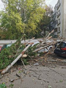 Alertă meteo: Vânt puternic de cod roșu în Suceava și ceață densă de cod galben în patru județe din Moldova”