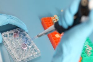 Ministrul Muncii confirmă continuarea programului de fertilizare in vitro în 2026, finanțat din fonduri europene