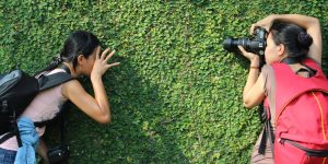 Strategii pentru autofocus rapid pe mirrorless când fotografiezi copii și animale în mișcare