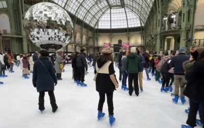 grand-palais-paris-patinoar-franta.jpg