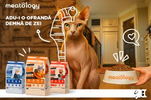 Meatology: brand românesc de lux în domeniul cărnii, fundamentat pe cunoștințe medicale și rețete responsabile