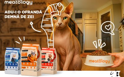 meatology-brandul-romanesc-super-premium-cu-un-model-de-business-bazat-pe-expertiza-medicala-i-formu.jpeg