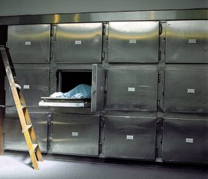 Comunicarea rezultatelor necropsiei după deshumarea fostului ministru al Justiției, Rodica Stănoiu: Fără leziuni și suspiciuni de crimă