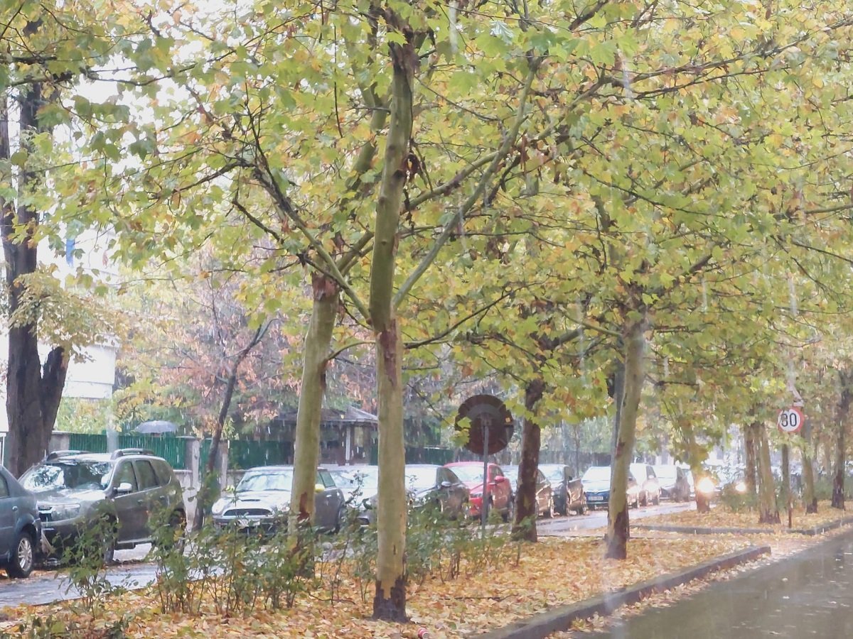 [ad_1] Meteorologii anunță că în perioada Crăciunului, vremea va fi caracterizată de ploi, lapovițe și ninsori în întreaga țară