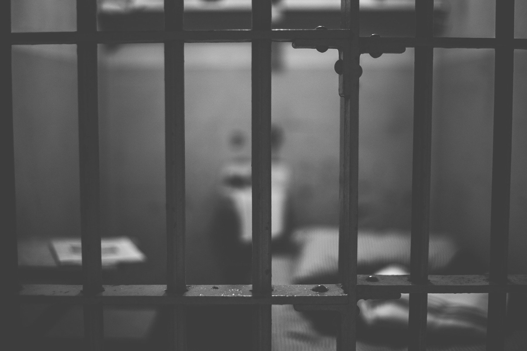 Un bărbat din județul Bihor, condamnat pentru uciderea unui câine, a fost încarcerat luna aceasta în Penitenciarul Oradea pentru o pedeapsă de trei ani